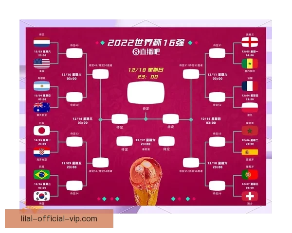 世界杯足球竞猜入口指南带你了解赛事预测技巧提升观赛乐趣面攻略